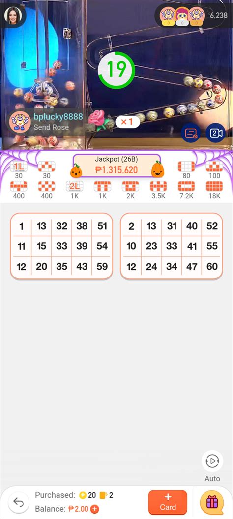 An Awesome Guide to Playing BingoPlus using .